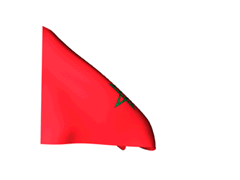Moroccan Flag